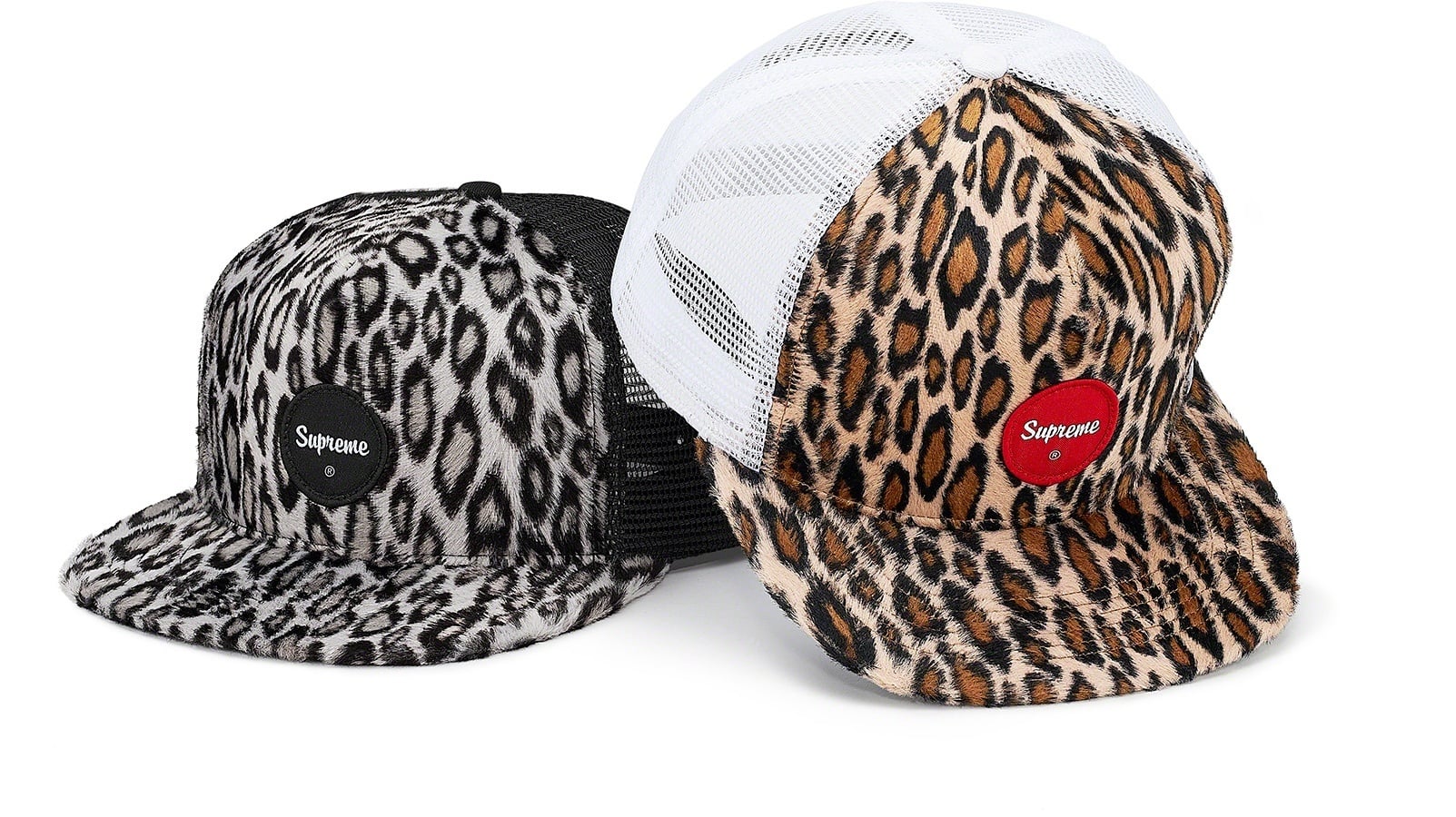 Leopard Mesh Back 5-Panel